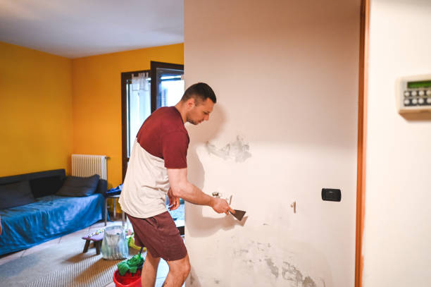Best Toxic Mold Removal  in West Salem, OH